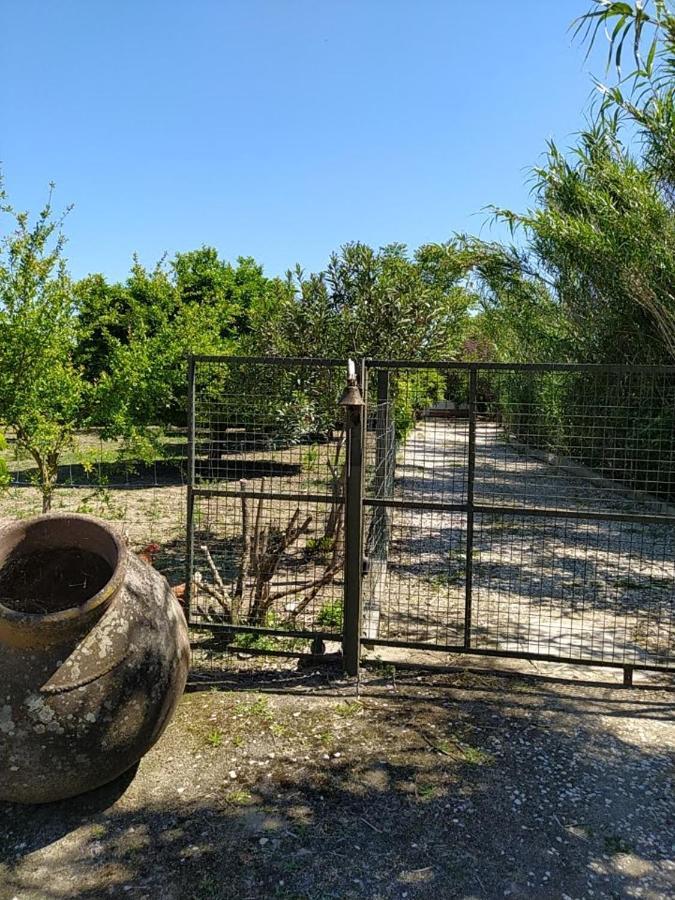 Quinta Da Ponte Das Hortas 3 Elvas Bagian luar foto